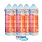 Paragon Commercial Water Filter ECB5SR2 / EV959206/2CB-GW