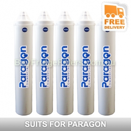 5x Paragon Commercial Water Filter ECB56
