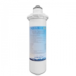 Paragon Commercial Water Filter ECB5SR2 / EV959206/2CB-GW