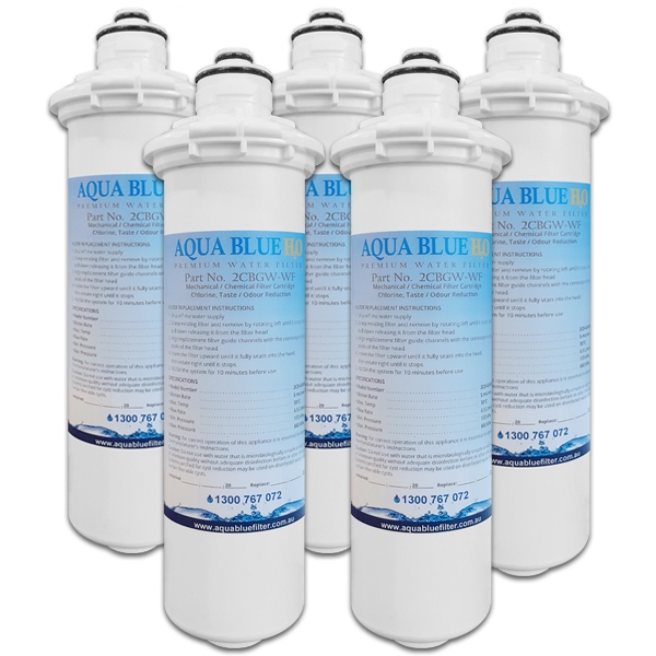 5X Paragon Commercial Water Filter ECB5SR2 / EV961836 /2CB-GW